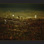 Pavoučí dýchánek