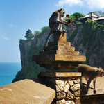 Monkey Temple
