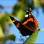 Pripraviť o chvíľu odlietam