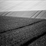 jen tak přespolní cvak