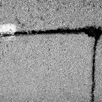 mutace středové čáry