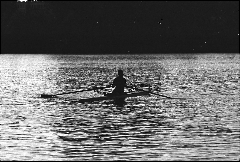 veslař