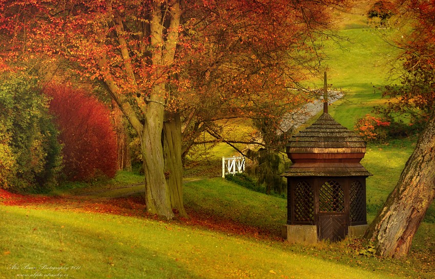 ... Kozel - podzimní park II. ...