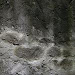 Kam chodí E.T. spát na jedno oko