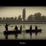 Sprosté slovo? hybaj na hanbu!...