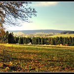 Šumavské pastviny