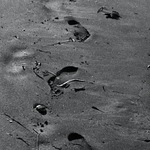 Za nami len spúšť