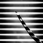 Inverzní anomálie - MoML 8. listopadu 2011