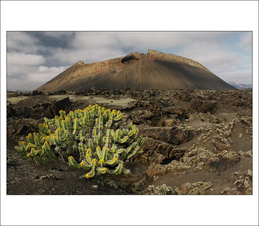 Cestou na Montaňa Del Cuervo