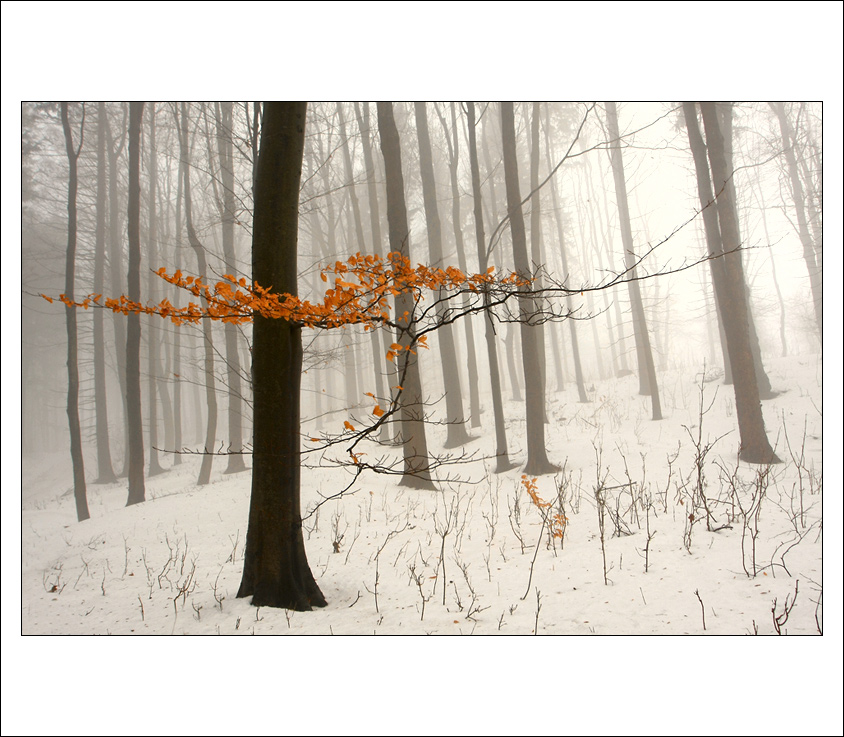 Zima je (skoro) tady