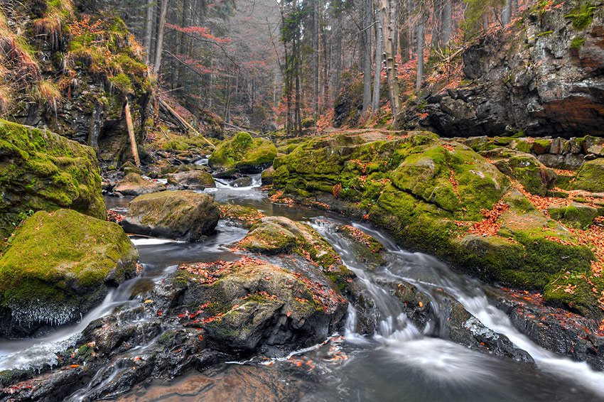 Doubrava pozdně podzimní...