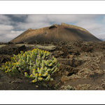 Cestou na Montaňa Del Cuervo