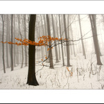 Zima je (skoro) tady