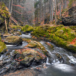 Doubrava pozdně podzimní...