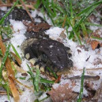 na něco pozdě, nebo něco příliš brzy