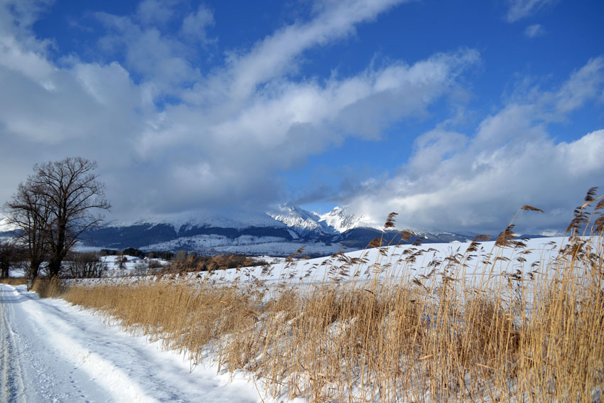 Tatry