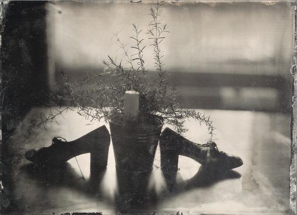 my first collodion
