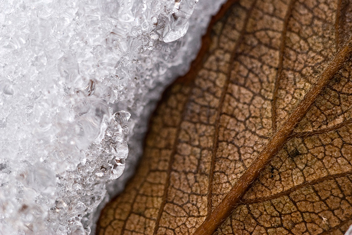 ...with or without water