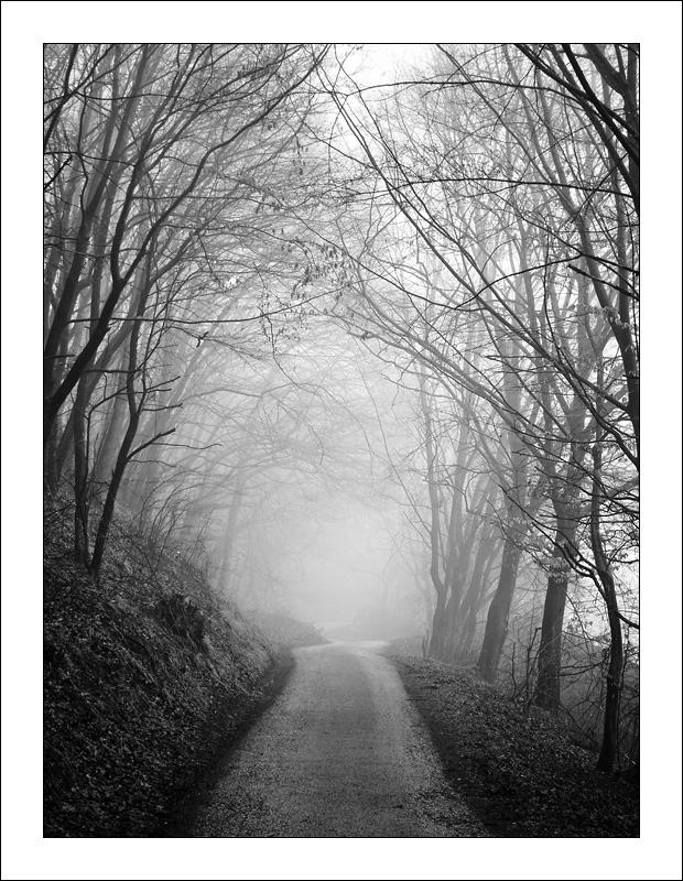 keď cestou kľukatou šiel som v hmle...