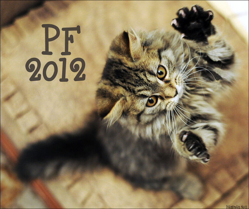 PF2012