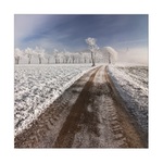 geotermální  anomálie