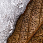 ...with or without water