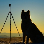 Náhodně po svítání