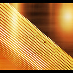 Nakonec to zlutakem nebylo az tak spatny