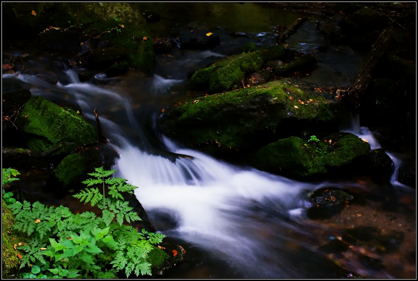 Zátiší na Huntavě