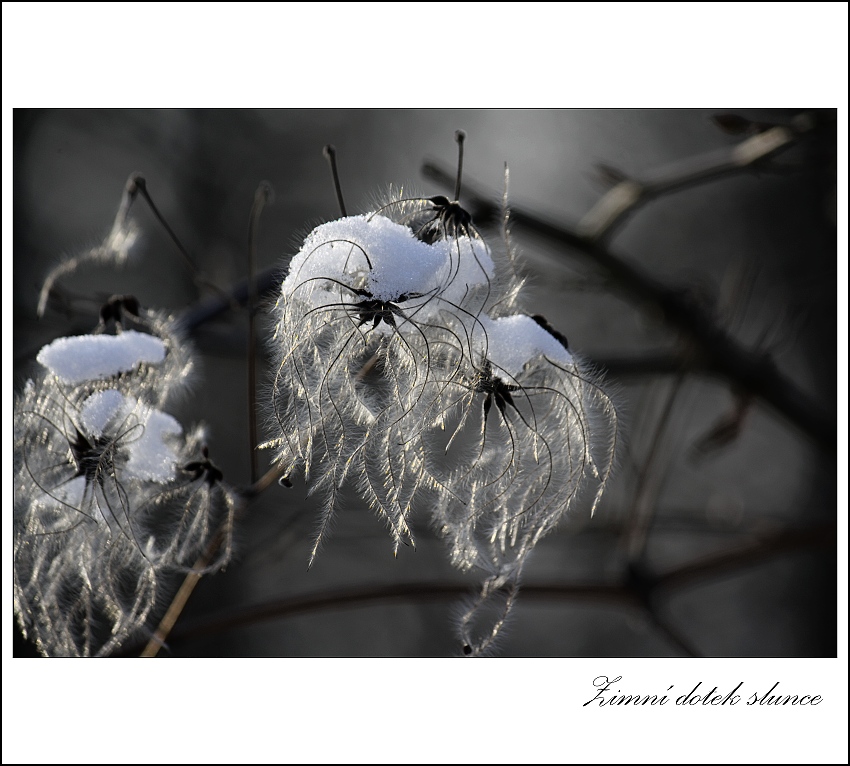 Zimní dotek