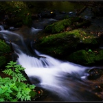 Zátiší na Huntavě