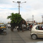 Dej přednost v jízdě!