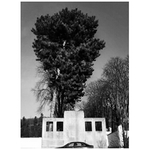 hrobové ticho nedělního odpoledne