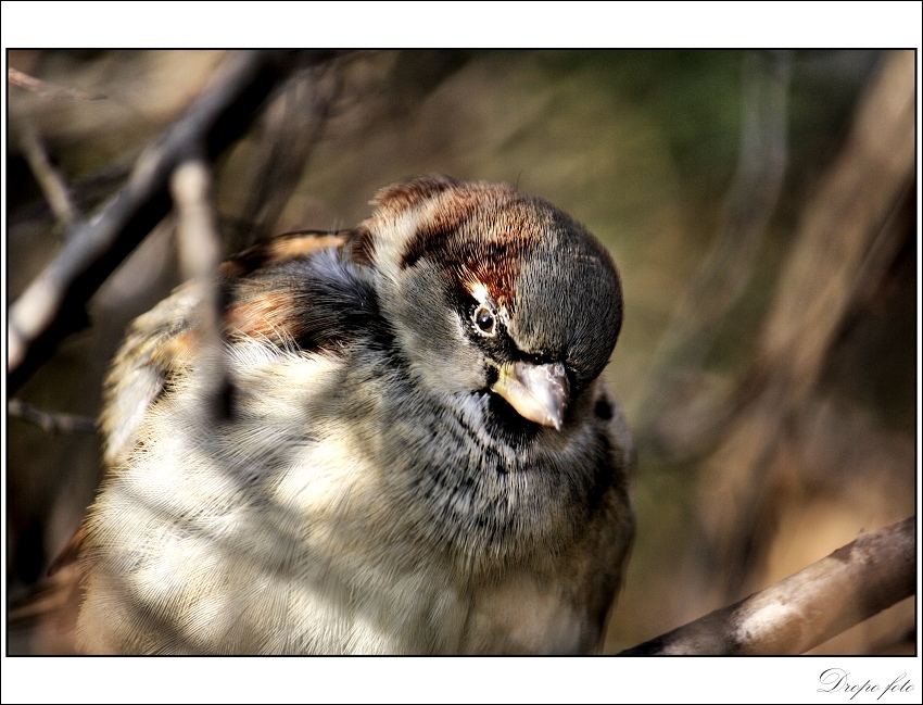 První jarní paprsky...