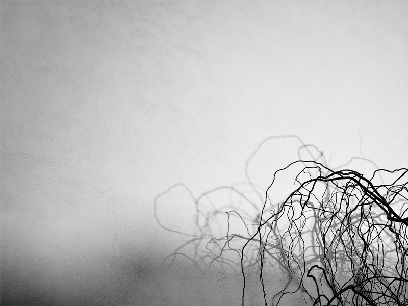 Mozkové žíly - MoML 9. března 2012