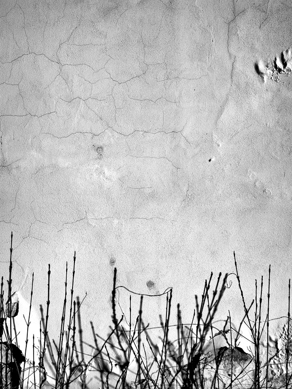 MoML 28. března 2012