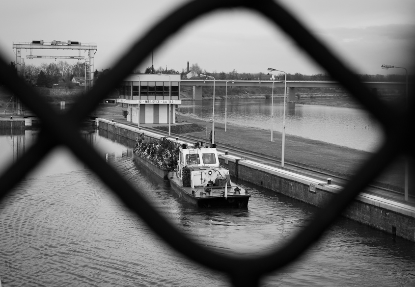 květiny pro Václava