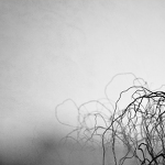 Mozkové žíly - MoML 9. března 2012