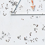 Zelená energie - MoML 12. března 2012