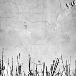 MoML 28. března 2012