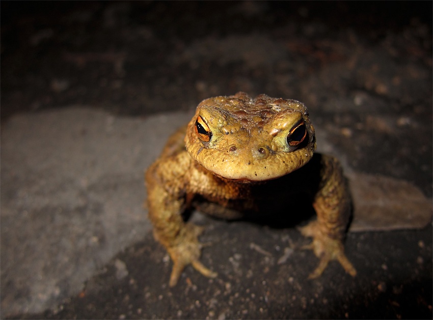 Si mě na.... tak bacha nebo hoopnu :o)