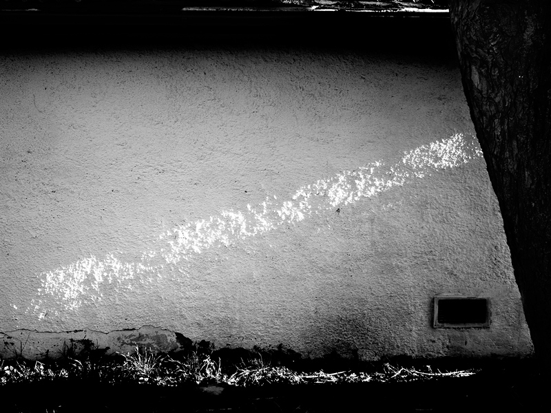 Zorro was here - MoML 17. dubna 2012