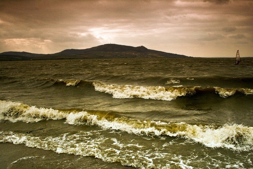 Mushow see