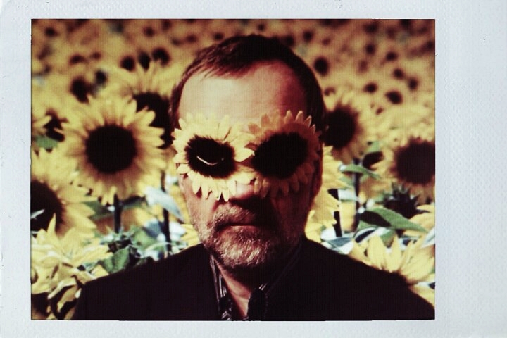 lord of sunflowers