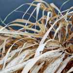 ...dnešní barevná vlaštovka