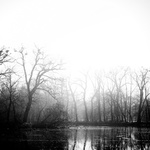 nedůvěryhodná amazonská variace