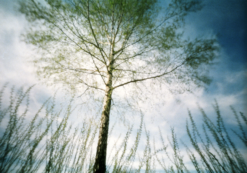 Pinhole Day