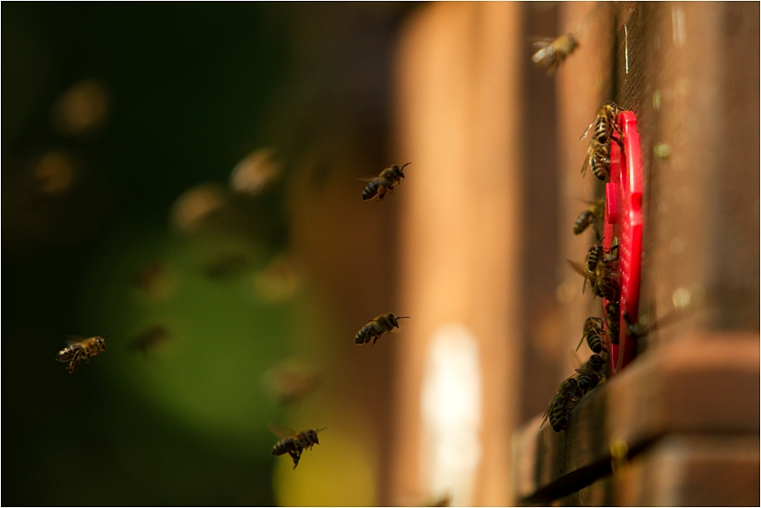 ze šichty do dom...