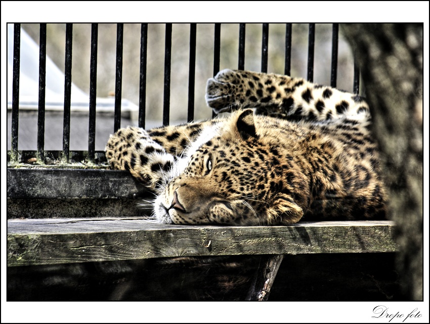 Konečně vylezlo sluníčko