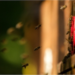 ze šichty do dom...